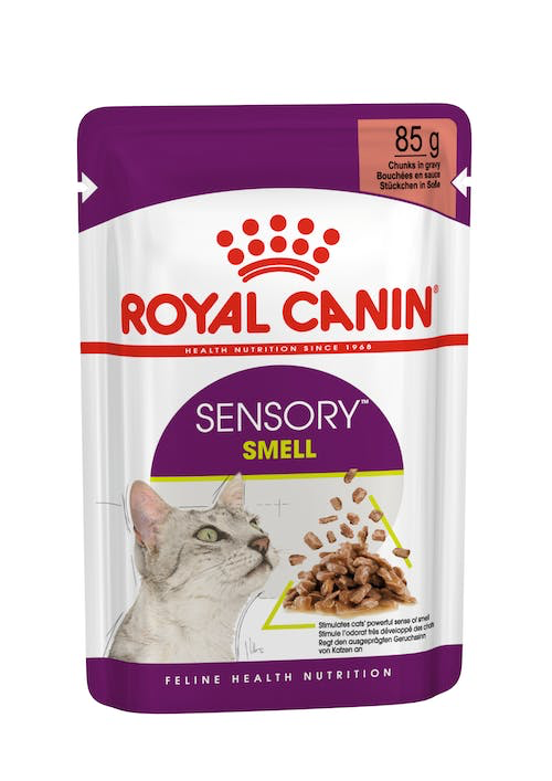 Royal Canin Sensory Smell In Gravy - 85G