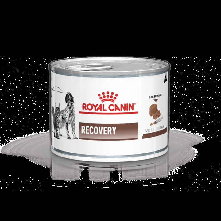 Food Dogs And Cats Recovery Can - 195G