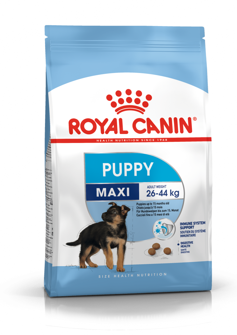 Royal Canin Maxi Puppy - 4 Kg