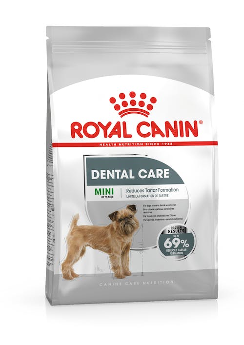 Royal Canin Mini Dental Care - 3 Kg