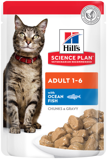 Hills Feline Adult With Ocean Fish - 85gr