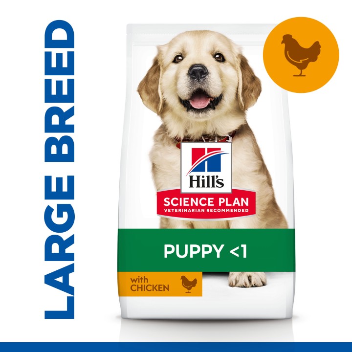 Hill's Science Plan Large Breed Puppy Food With Chicken - 14.5 Kg