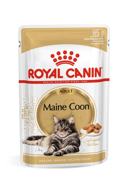 Royal Canin Maine Coon Adult Cat Food - 85gr