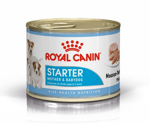 Royal Canin Starter Mousse - 195gr