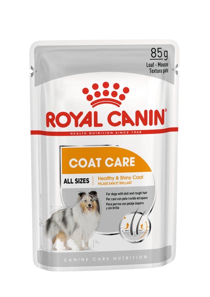 Royal Canin Coat Care Loaf Pouch - 85gr