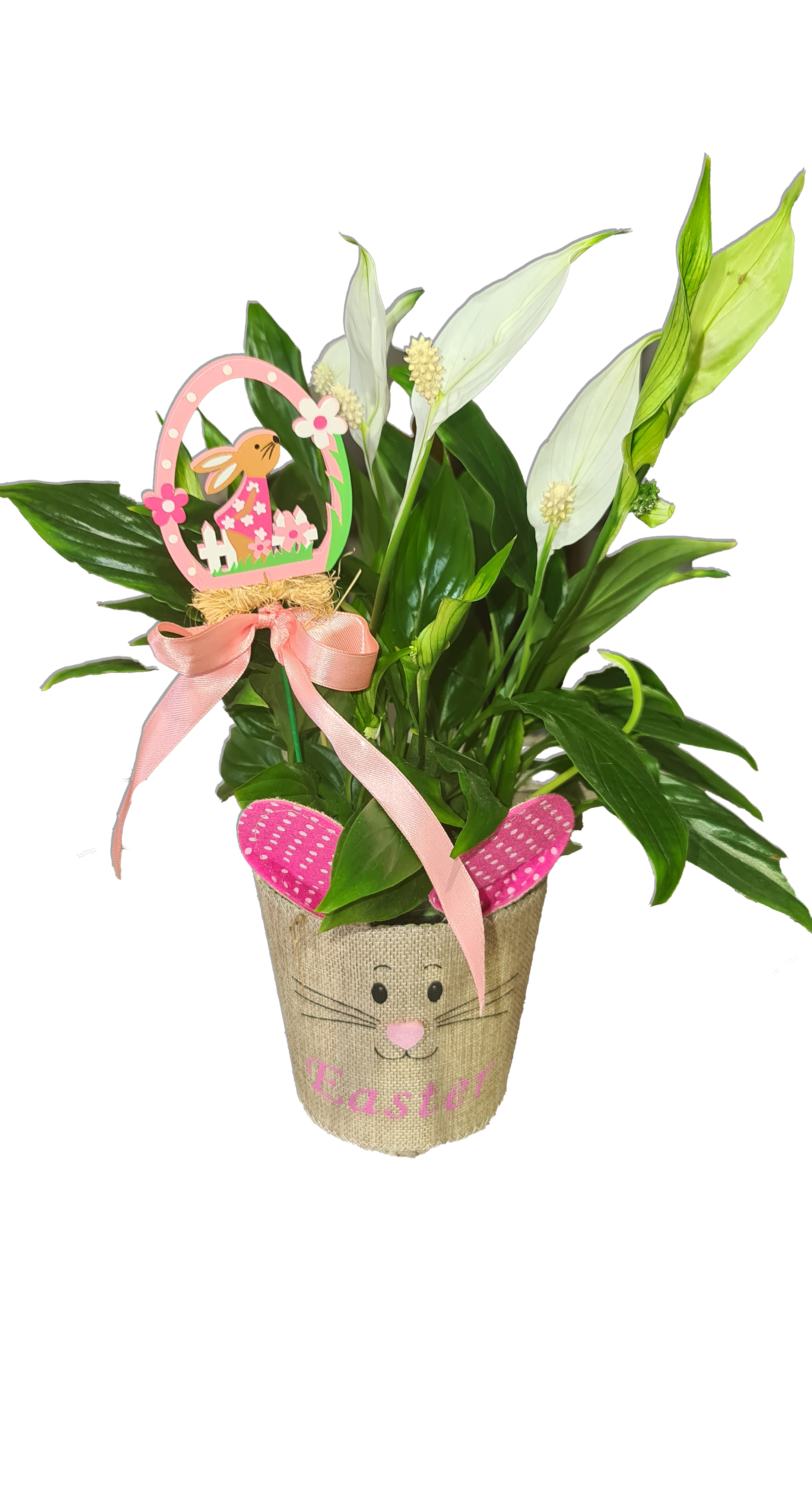 Easter Spathiphyllum with stick