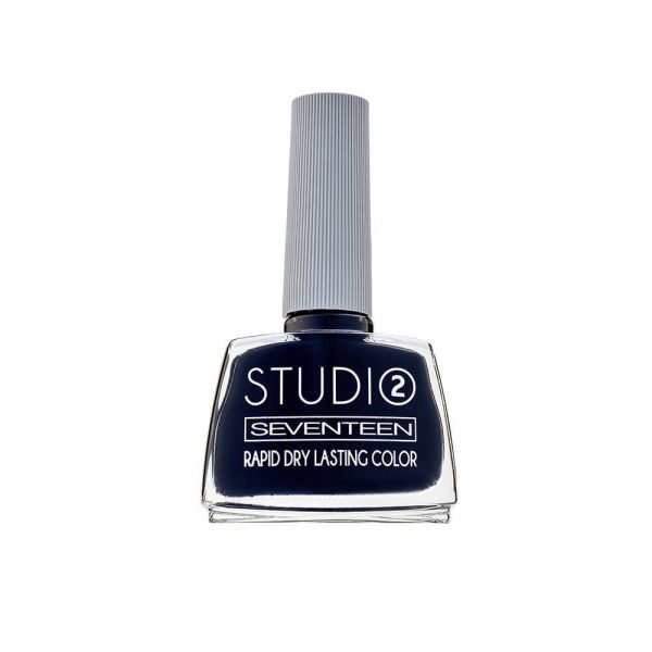Seventeen Studio Rapid Dry Lasting Color No 48