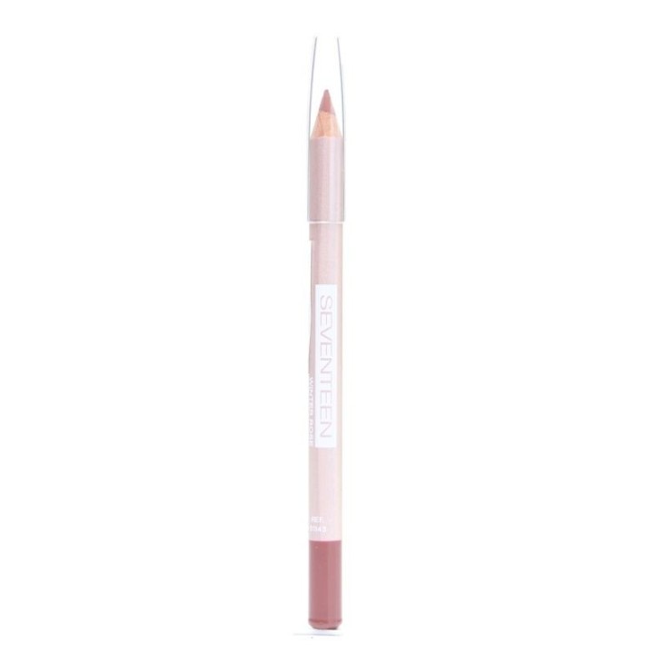 Seventeen Longstay Lipshaper 01 Winter Rose