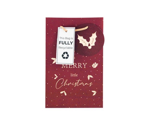 Gift Bag - Small For Christmas (Xapgb64S)