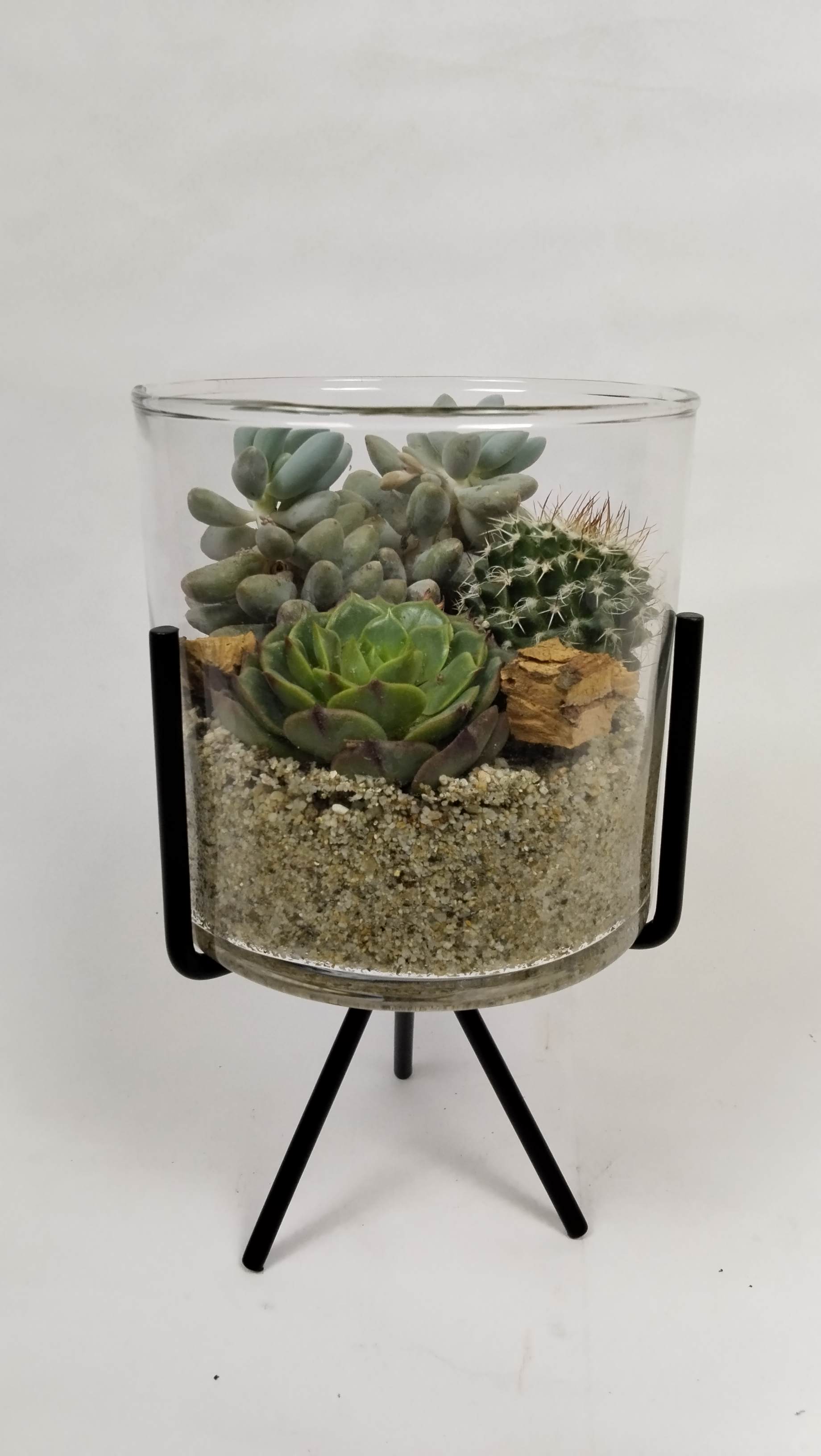 Succulent glass pot with stant