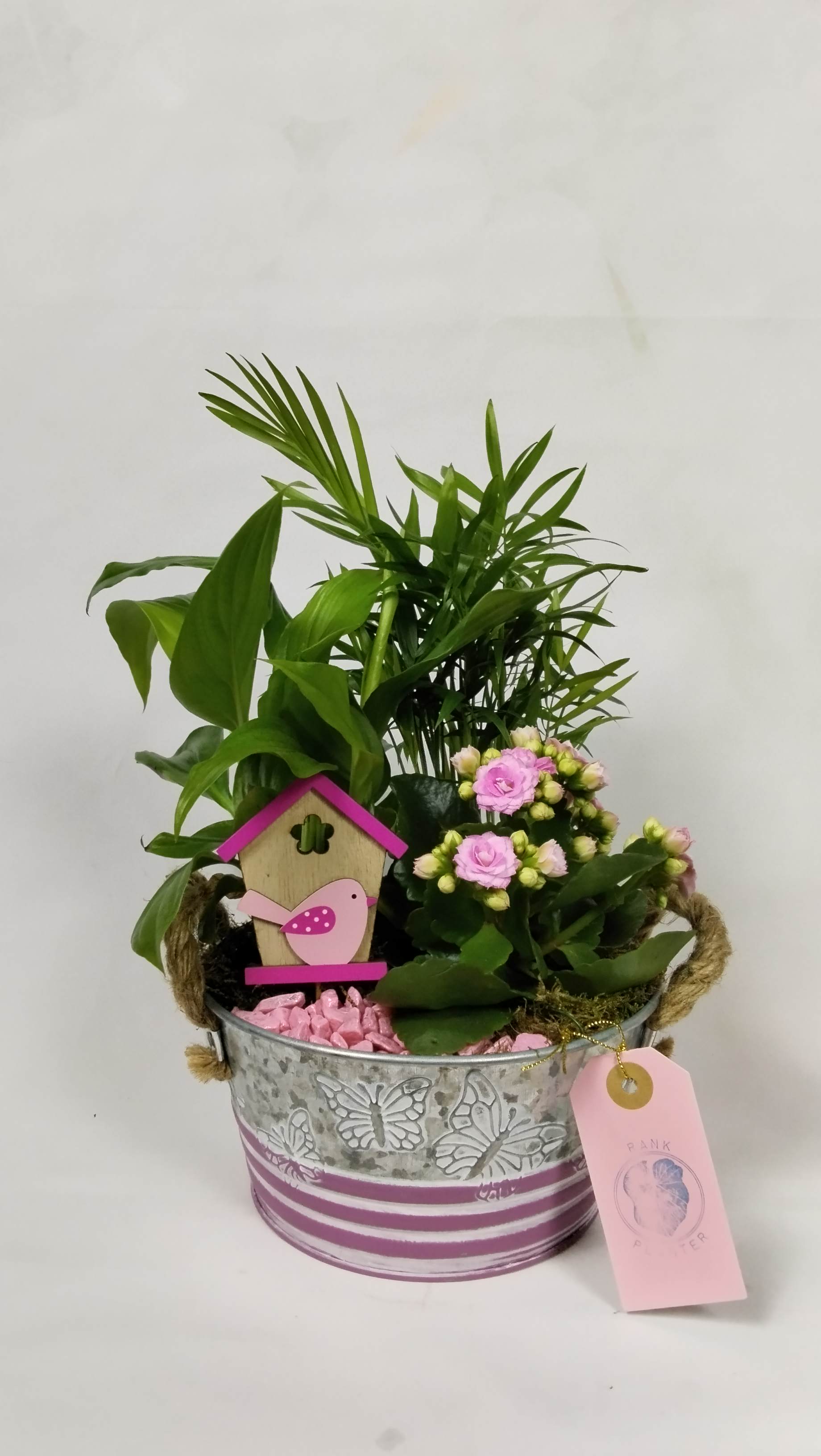 Cute arrangement of Kalahoe, Piss lily & small palm tree