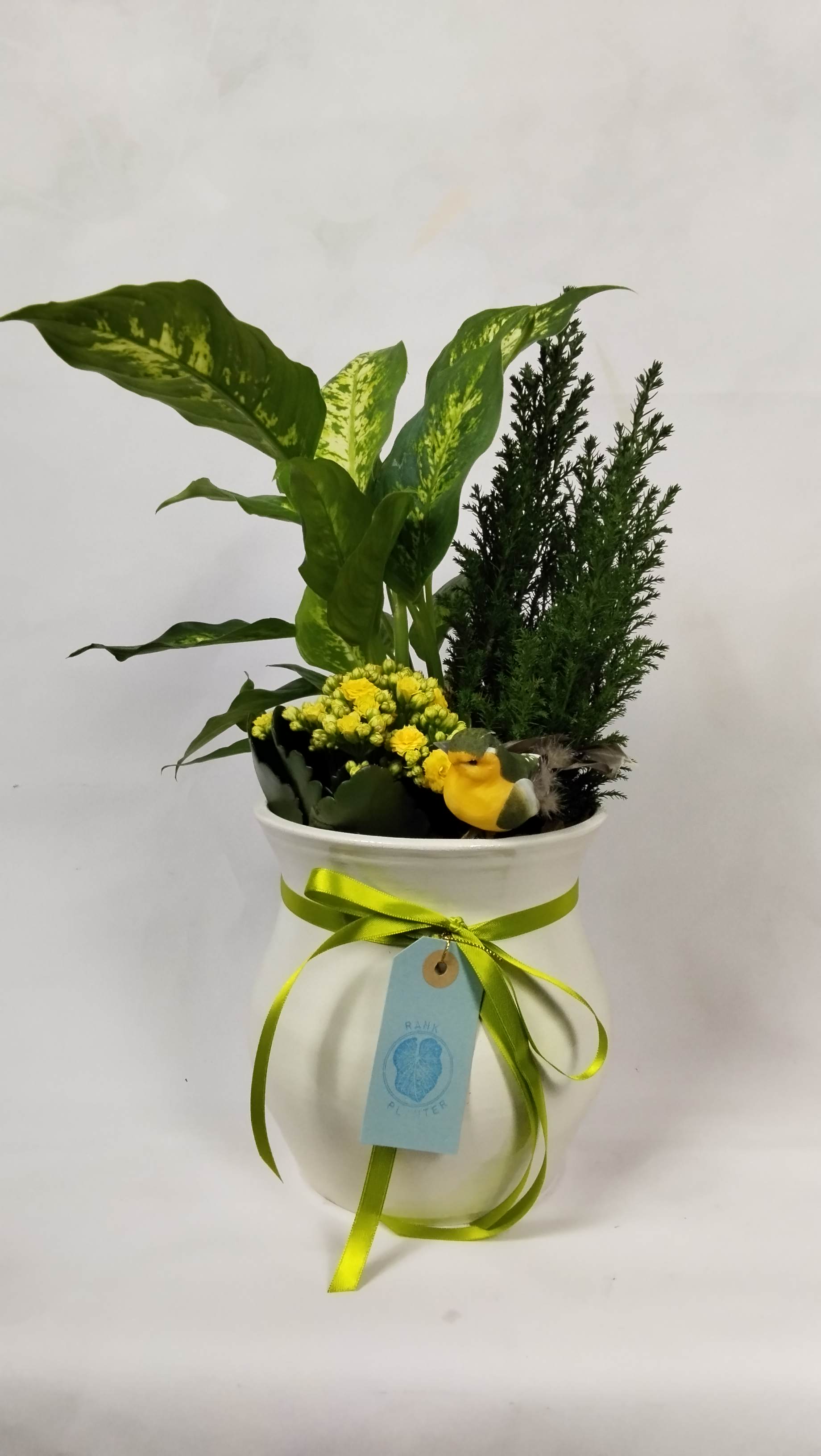 A vibrant combination to grow with mother's love