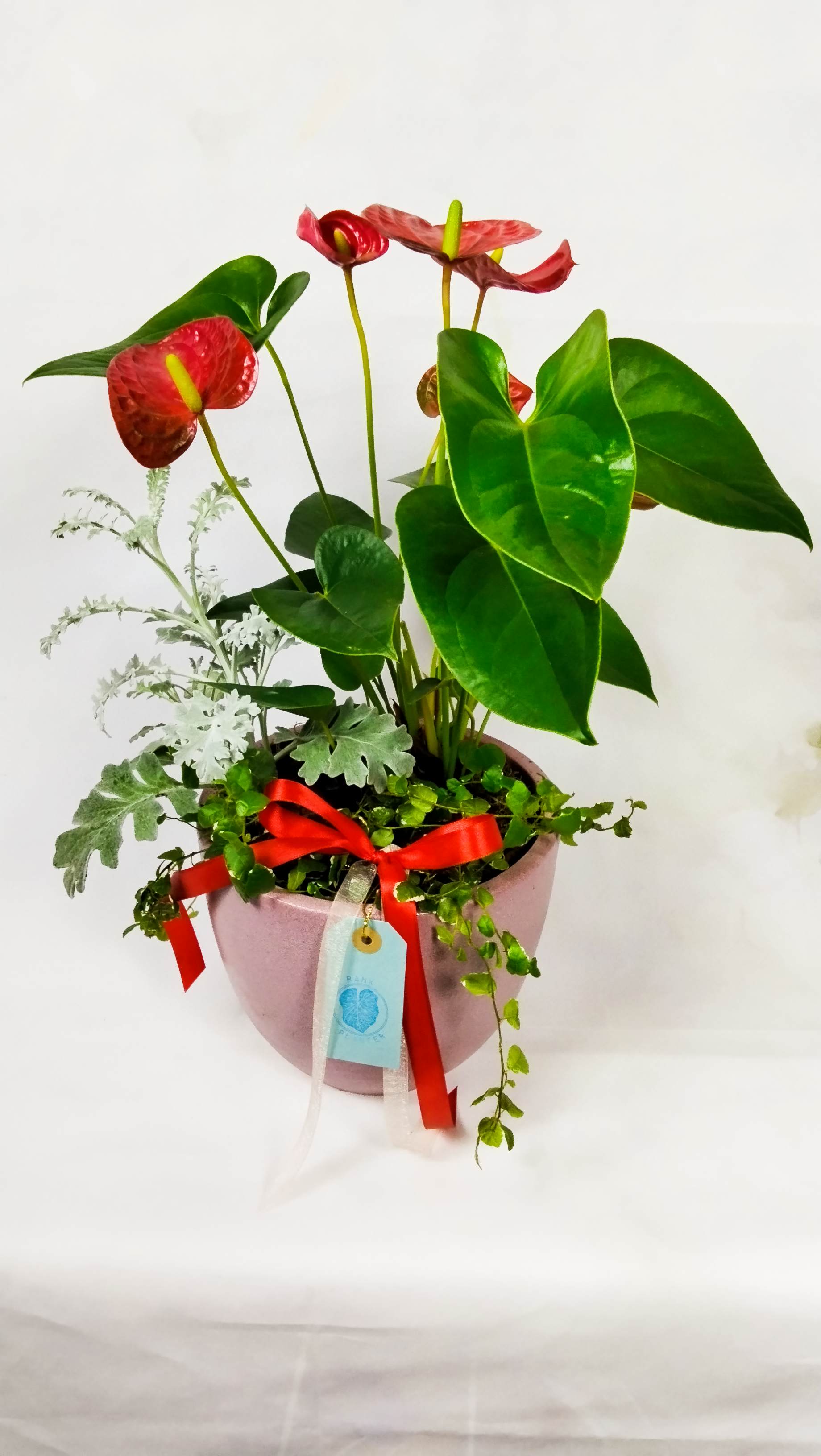 Make your mom smile with this stunning live gift