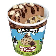 Ben & Jerrys Brookieees Cream 465ml